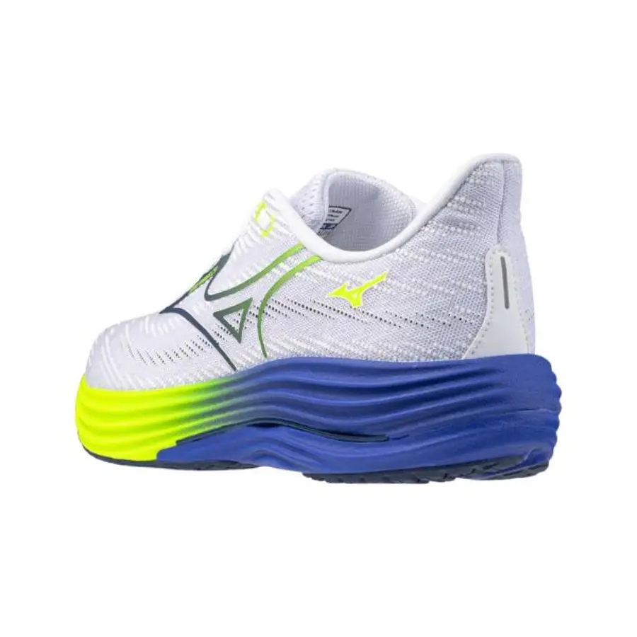 MIZUNO Wave Rider 29 M