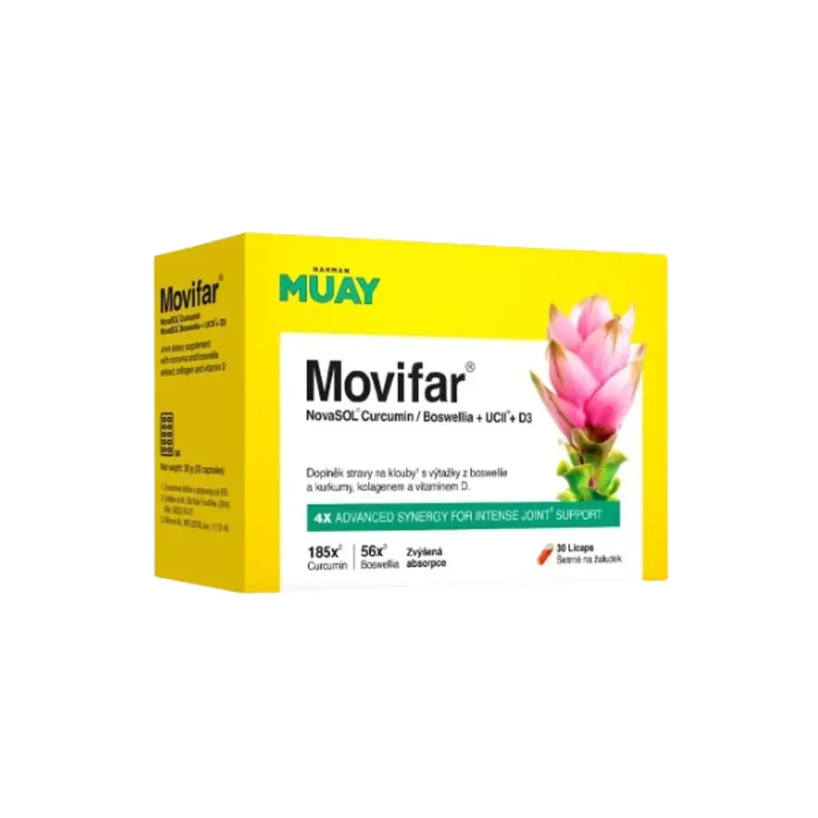 NAMMAN Muay Movifar